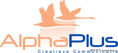 全球廣告設(shè)計公司矢量標志0065 飛鳥元素與創(chuàng)意設(shè)計的完美融合