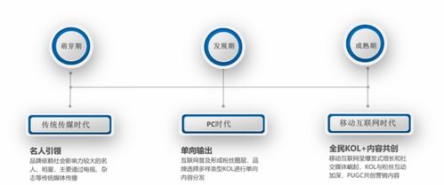 互聯(lián)網(wǎng)時(shí)代下的KOL營(yíng)銷與銷售變革