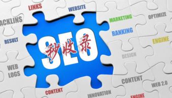 互聯(lián)網(wǎng)營銷實(shí)戰(zhàn)指南 破解網(wǎng)站收錄難題，實(shí)現(xiàn)銷售落地為王